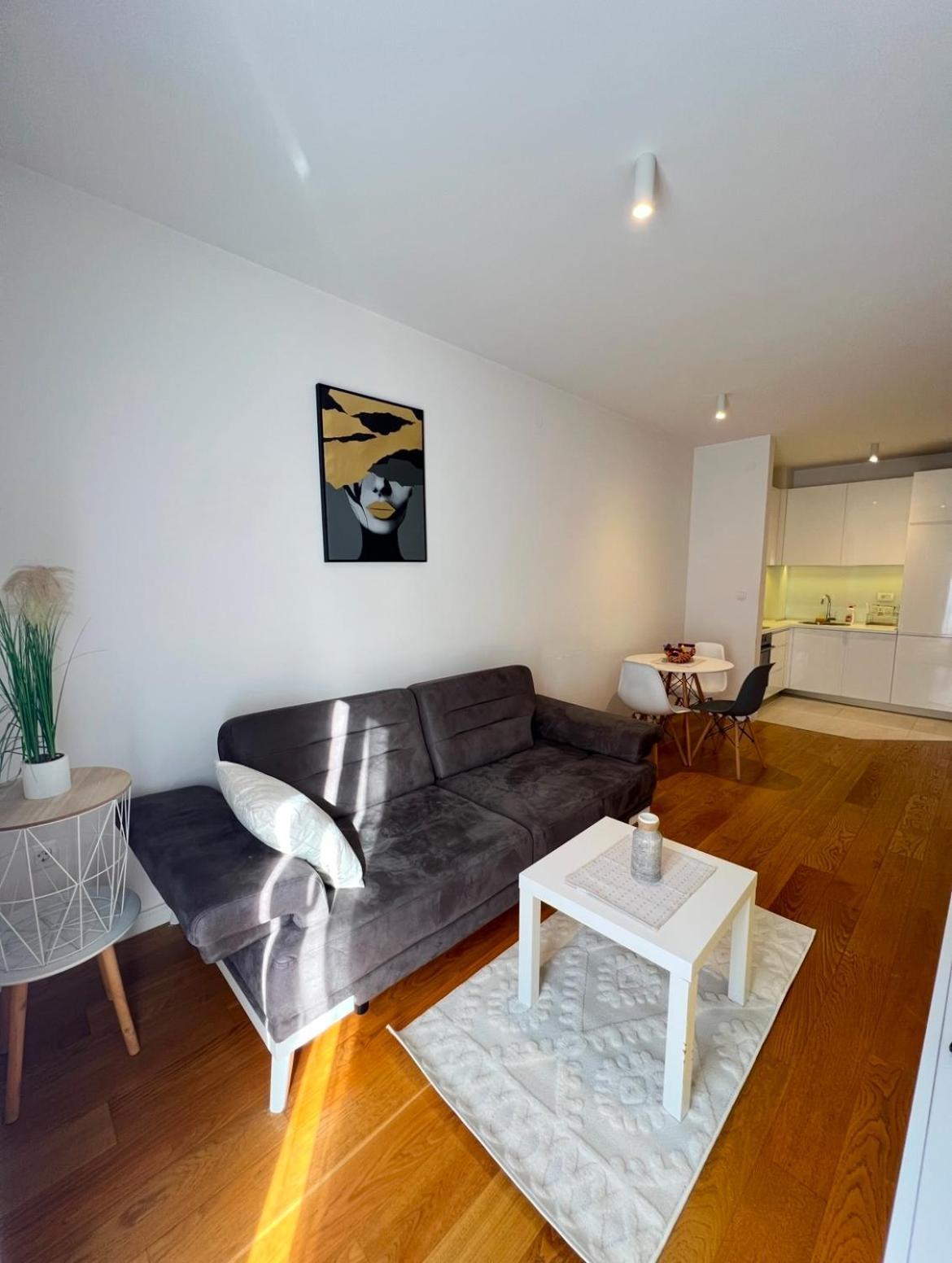 White Homes Apartments • Central Point Podgorica Ngoại thất bức ảnh